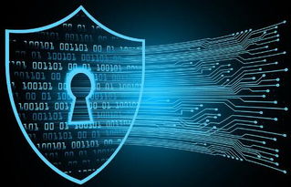 守护与反击 一家软件服务商的DDoS攻防纪实